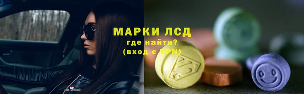 стаф Баксан