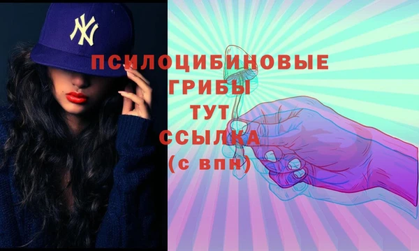 стаф Баксан